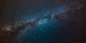 Alimentando mentes curiosas