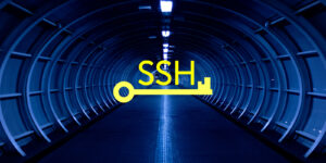 Navegación segura usando un túnel SOCKS