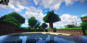 Servidor local de Minecraft